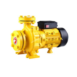 ปั๊มหอยโข่ง 2 นิ้ว 2 แรง หน้าแปลน BIG BEAR รุ่น CP-200CN