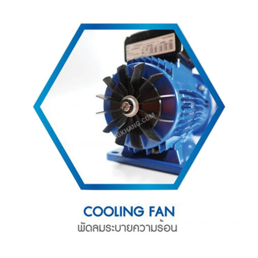 ปั๊มน้ำอัตโนมัติ 750 วัตต์ LOWARA รุ่น 5HM07/PF12 750w - Image 4
