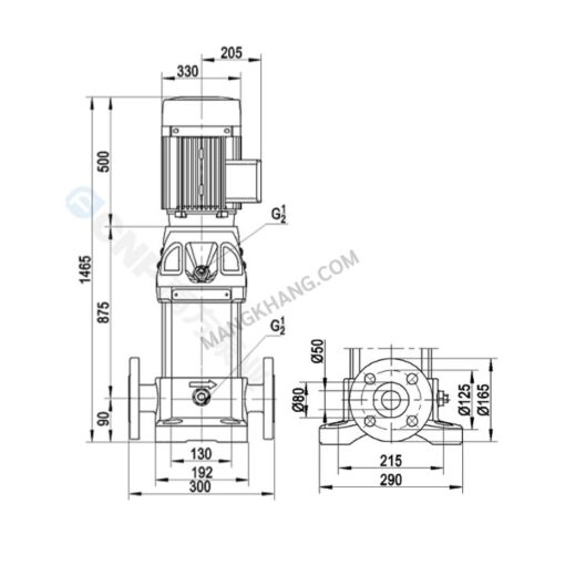 ปั๊มน้ำ 20.1 แรง Vertical Multistage 380V CNP รุ่น CDM20-12 - Image 2