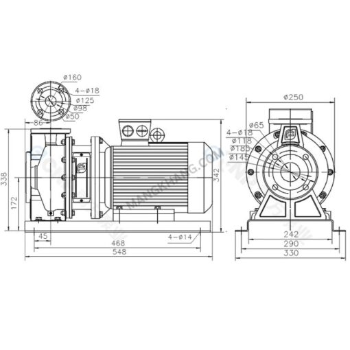 ปั๊มหอยโข่ง 4 แรง แบบสแตนเลส 380V CNP รุ่น ZS65-50-125/3 (380V) - Image 2