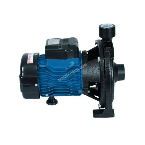 ปั๊มหอยโข่ง 750 วัตต์ Dayuan รุ่น DCM158 - Image 4
