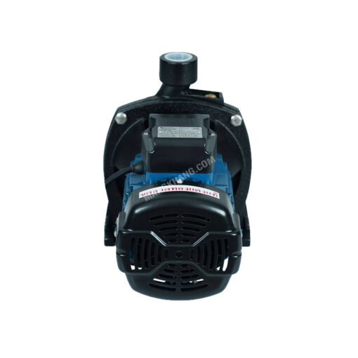 ปั๊มหอยโข่ง 750 วัตต์ Dayuan รุ่น DCM158 - Image 3