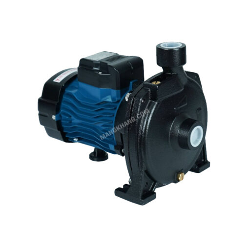 ปั๊มหอยโข่ง 750 วัตต์ Dayuan รุ่น DCM158 - Image 2