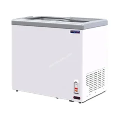ตู้แช่แข็งกระจกตรง The FrezzeR 7Q