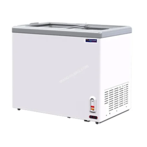ตู้แช่แข็งฝากระจกตรง The FrezzeR 10Q